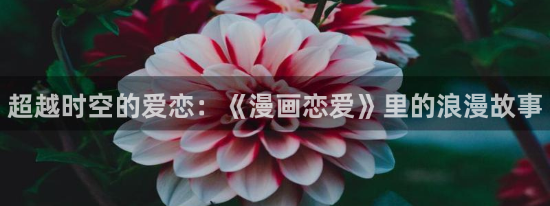 虫虫漫画无删减进入网址
