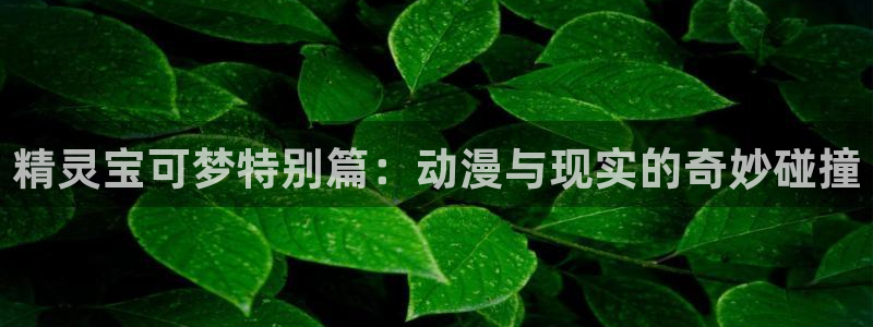 虫虫动漫：精灵宝可梦特别篇：动漫与现实的奇妙碰撞